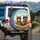 Tabby Cats Sunglasses Road Trip Adventure - Car Lover Driving Enthusiast Gift Spare Tire Cover - 3