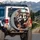 Tuxedo Cats Driving Luxurious Car European Street - Cat Lover Road Trip Gift Spare Tire Cover - 3