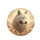 White Wolf Golden Tribal Dreamcatchers Desert - Wildlife Lover Gift Spare Tire Cover - 4