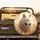 White Wolf Golden Tribal Dreamcatchers Desert - Wildlife Lover Gift Spare Tire Cover - 2