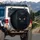Black Cat Golden Slit Eyes Rich Dark Fur Nocturnal Shadow - Wildlife Lover Gift Spare Tire Cover - 3