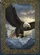 Bald Eagle Descending Flight Talons Extended Broad Wings Intense Gaze - Wildlife Lover Gift Garden Flag - 6
