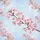 Realistic Pink Cherry Blossoms Sakura Sky Blue Background - Nature Lover Gift Spare Tire Cover - 6