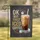 OK BUT FIRST ICED COFFEE Glass Coffee Beans - Coffee Lover Home Decor Gift Garden Flag - 1