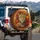 Realistic Leopard Orange Red Floral Tendrils - Wildlife Lover Gift Spare Tire Cover - 3