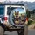 German Shepherds Puppy Landscape - Dog Lover Gift Spare Tire Cover - 3
