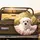 Fluffy Maltese Puppy Soft Pink Blanket Golden Green Natural Outdoor Scene Dog Lover Gift Spare Tire Cover - 2