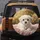 Fluffy Maltese Puppy Soft Pink Blanket Golden Green Natural Outdoor Scene Dog Lover Gift Spare Tire Cover - 5