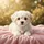 Fluffy Maltese Puppy Soft Pink Blanket Golden Green Natural Outdoor Scene Dog Lover Gift Spare Tire Cover - 6