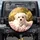 Fluffy Maltese Puppy Soft Pink Blanket Golden Green Natural Outdoor Scene Dog Lover Gift Spare Tire Cover - 1