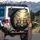 Fluffy Tabby Kittens Blue Sunglasses on Polished Surface Sunlit Nature - Cat Lover Gift Spare Tire Cover - 3