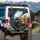 Playful Bengal Cats Car Cabin Selfie - Road Trip Travel Essential for Cat Lovers Spare Tire Cover - 3