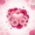 Fuchsia Pink Heart Gerbera Daisy Floral Blooms - Everyday Vehicle Decor Spare Tire Cover - 6
