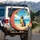 Macaw Tropical Island Beach - Golden Shore Wildlife Lover Travel Essentials Spare Tire Cover - 3