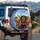 Dachshunds Road Trip Landscape - Dog Lover Gift Spare Tire Cover - 3