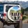 Border Collies Open Road Adventure - Dog Lover Travel Gift Spare Tire Cover - 3