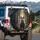 Majestic Deer Buck Antlers Forward Gaze Misty Woodland - Wildlife Lover Gift Spare Tire Cover - 3
