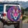 Tiger Face Emerald Green Eyes Orange Purple Fur Pink Nose - Wildlife Lover Gift Spare Tire Cover - 3