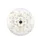 White Flowers Golden Yellow Centers Tan Leaves Branches - Everyday Vehicle Accessory Spare Tire Cover - 4