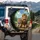 Lion Tiger American Flag Patriotic Bow Tie - Adventure Wildlife Lover Gift Spare Tire Cover - 3
