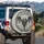 Spreading Bat Gothic Swirls Art Nouveau Leafy Floral - Wildlife Lover Home Decor Gift Spare Tire Cover - 3