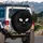 Black Cat Prominent Wide Eye Whiskers Feline Shadows Cat Lover Gift for Travel Spare Tire Cover - 3