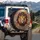 Fierce Lion Head Golden Crown Blue Jewels Paint Splatters Wildlife Lover Gift Spare Tire Cover - 3