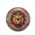 Fierce Lion Head Golden Crown Blue Jewels Paint Splatters Wildlife Lover Gift Spare Tire Cover - 4
