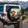 Orange Grey Fedora Sunglasses Tabby Cats Steering Wheel Open Road - Travel Essentials Spare Tire Cover - 3