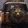 Grizzly Bear Golden Filigree Red Roses Teal Foliage - Wildlife Lover Gift Spare Tire Cover - 5
