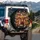 Highland Cow Daisies Farmhouse Decor Gift for Cow Lover Spare Tire Cover - 3