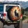 Majestic Black Horse Gnarled Tree Misty Forest Autumn Leaves - Wildlife Lover Gift Spare Tire Cover - 3