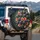 Ripe Purple Figs Pink Red Pulp Green Leaves - Fruit Lover Gift Spare Tire Cover - 3