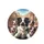 Five Smiling Dogs European Cityscape - Adventure Road Trip Gift for Dog Owners Spare Tire Cover - 4