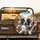 Five Smiling Dogs European Cityscape - Adventure Road Trip Gift for Dog Owners Spare Tire Cover - 2