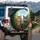 Blue Eyed Tabby British Shorthair Cats Green Trees - Cat Lover Gift Spare Tire Cover - 3