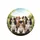 Five Cavalier King Charles Spaniel Dogs Lush Landscape - Dog Lover Gift Spare Tire Cover - 11