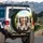 Five Cavalier King Charles Spaniel Dogs Lush Landscape - Dog Lover Gift Spare Tire Cover - 10
