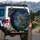 Realistic Leopard Twilight Stars Wild Flora - Wildlife Lover Gift Spare Tire Cover - 3