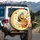 Happy Bumblebee Honey Pot Meadow Flowers Gingham - Everyday Use for Bee Lover Spare Tire Cover - 3
