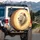 White Lion Golden Mane Luminous Golden Light - Wildlife Lover Gift for Big Cat Lovers Spare Tire Cover - 3