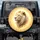 White Lion Golden Mane Luminous Golden Light - Wildlife Lover Gift for Big Cat Lovers Spare Tire Cover - 1