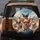 Five Chihuahuas Open Air Journey Blue Sky Mountain Landscape Dog Lover Gift Spare Tire Cover - 5