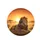 Majestic Mane Lion Golden Savannah Sunset Landscape Wildlife Lover Gift Spare Tire Cover - 4