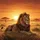 Majestic Mane Lion Golden Savannah Sunset Landscape Wildlife Lover Gift Spare Tire Cover - 6