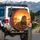 Majestic Mane Lion Golden Savannah Sunset Landscape Wildlife Lover Gift Spare Tire Cover - 3