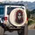 Sugar Skull Woman Red Roses Day of the Dead Calavera Art Lover Gift Spare Tire Cover - 3