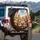 Five Maine Coon Cats Journey - Luxury Cat Lover Gift Spare Tire Cover - 3