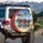 Dachshunds Hawaiian Tropical Beach Adventure - Summer Vacation Dog Lover Gift Spare Tire Cover - 3