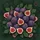 Fresh Figs Green Fig Leaves - Gourmet Kitchen Decor Gift Spare Tire Cover - 6